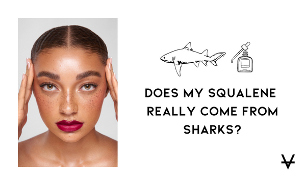 Does my squalene really come from sharks?